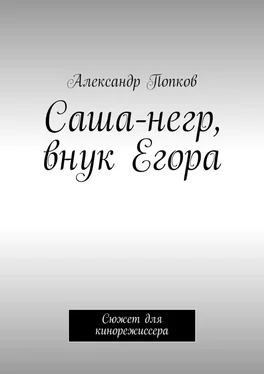 Александр Попков Саша-негр, внук Егора. Сюжет для кинорежиссера обложка книги