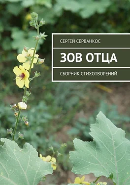 Сергей Серванкос Зов Отца. Сборник стихотворений обложка книги