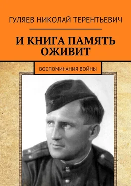 Николай Гуляев И книга память оживит. Воспоминания войны обложка книги