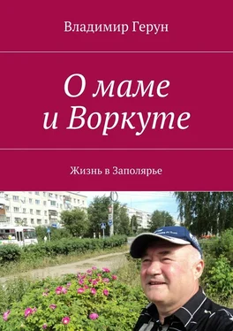 Владимир Герун О маме и Воркуте. Жизнь в Заполярье обложка книги