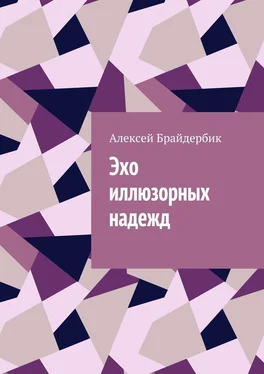 Алексей Брайдербик Эхо иллюзорных надежд обложка книги