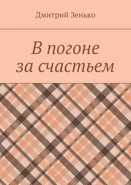 Дмитрий Зенько В погоне за счастьем. Увлекательное путешествие обложка книги