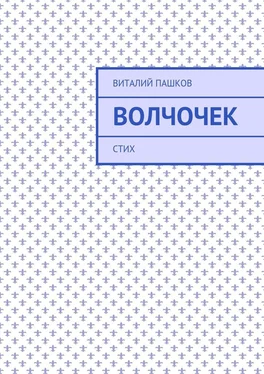 Виталий Пашков Волчочек. стих обложка книги