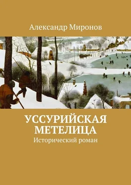 Александр Миронов Уссурийская метелица. Исторический роман обложка книги