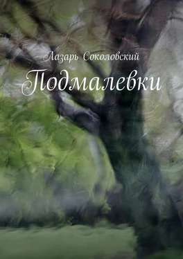 Лазарь Соколовский Подмалевки обложка книги
