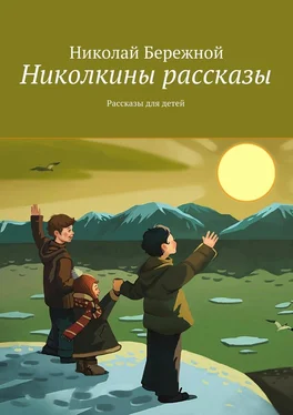 Николай Бережной Николкины рассказы. Рассказы для детей обложка книги