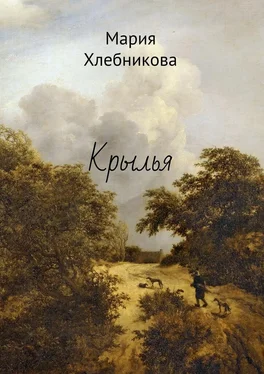 Мария Хлебникова Крылья обложка книги