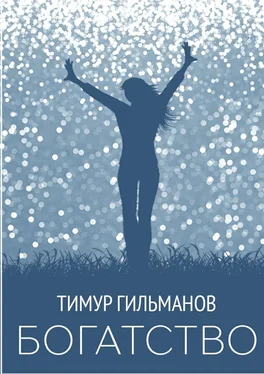 Тимур Гильманов Богатство обложка книги