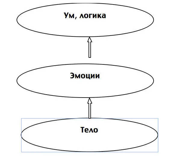 Рисунок 3 Целостное развитие и повышение эффективности Работая с телом мы - фото 4