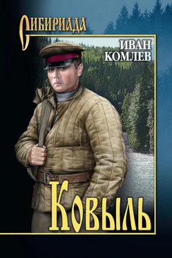 Иван Комлев Ковыль (сборник) обложка книги