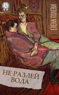 Елена Полеви Не разлей вода обложка книги