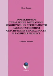 Юрий Лукаш - Эффективное управление филиалами и контроль их деятельности как составляющая обеспечения безопасности и развития бизнеса. Учебное пособие