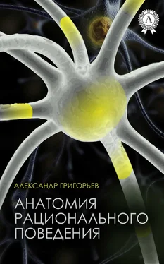 Александр Григорьев Анатомия рационального поведения обложка книги