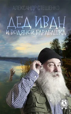 Александр Стешенко Дед Иван и водяной барабашка обложка книги