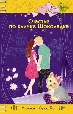 Алина Кускова Счастье по кличке Шоколадка обложка книги