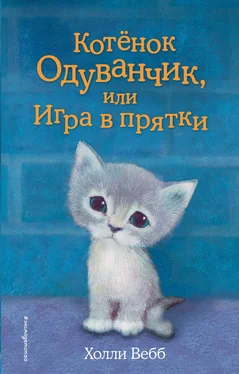 Холли Вебб Котенок Одуванчик, или Игра в прятки обложка книги