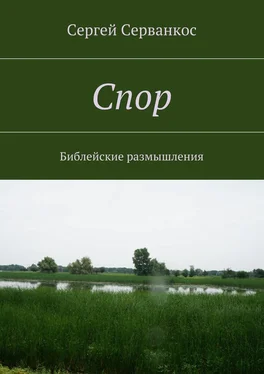 Сергей Серванкос Спор. Библейские размышления обложка книги