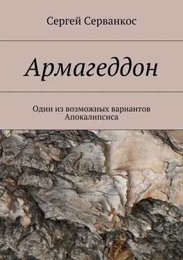 Сергей Серванкос Армагеддон. Один из возможных вариантов Апокалипсиса обложка книги