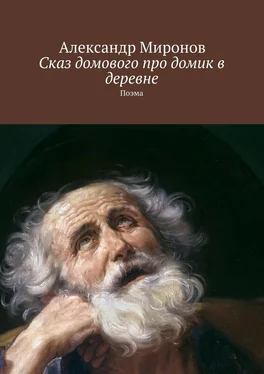 Александр Миронов Сказ домового про домик в деревне. Поэма обложка книги