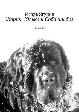 Игорь Ягупов Жорик, Юлька и Собачий бог. Повести обложка книги