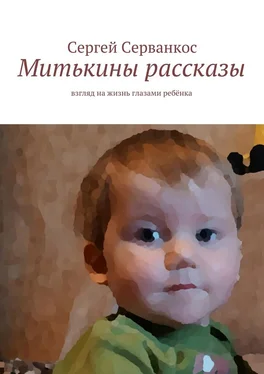 Сергей Серванкос Митькины рассказы. Взгляд на жизнь глазами ребёнка обложка книги