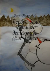 Олег Молоканов - Первое дело частного детектива Виталика