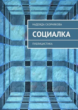 Надежда Скорнякова Социалка. Публицистика обложка книги