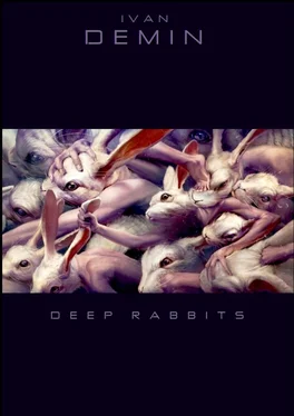 Ivan Demin Deep Rabbits обложка книги