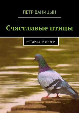 Петр Ваницын Счастливые птицы. Истории из жизни обложка книги