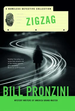 Bill Pronzini Zigzag обложка книги