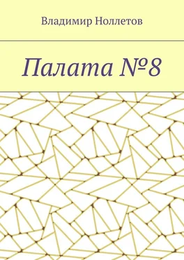 Владимир Ноллетов Палата №8 обложка книги