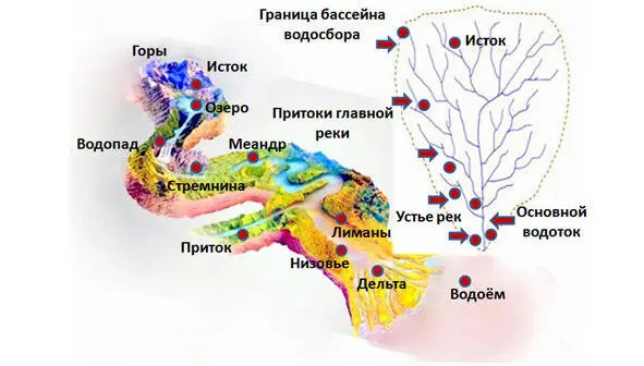 Основные определения и схемы формирование речного водостока Реки отличаются - фото 18