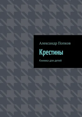 Александр Попков Крестины. Книжка для детей обложка книги