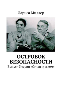 Лариса Миллер Островок безопасности. Выпуск 3 серии «Стихи гуськом» обложка книги