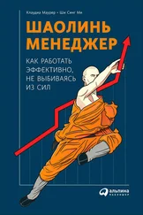 Клаудиа Маурер - Шаолинь-менеджер - Как работать эффективно, не выбиваясь из сил