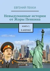 Евгений Пекки - Невыдуманные истории от Жоры Пенкина. Книга 3. В Америке