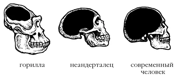 Используя термин новояза древнее общество было сексистским но к этому вопросу - фото 16