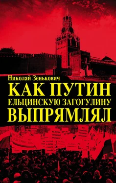Николай Зенькович Как Путин ельцинскую загогулину выпрямлял обложка книги
