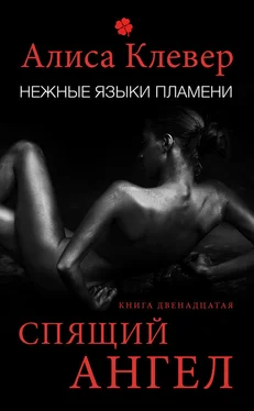 Алиса Клевер Нежные языки пламени. Спящий ангел обложка книги