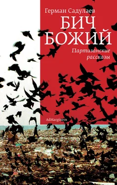 Герман Садулаев Бич Божий. Партизанские рассказы (сборник) обложка книги