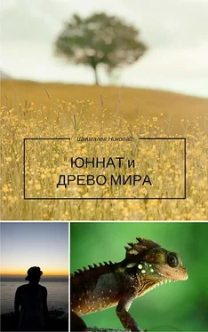 Николай Шмигалев Юннат и Древо Мира обложка книги