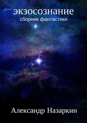Александр Назаркин - Экзосознание
