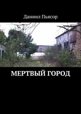 Даниил Пьясор Мертвый город обложка книги