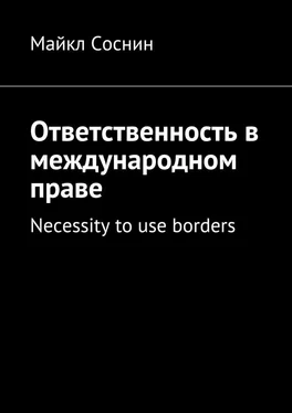 Майкл Соснин Ответственность в международном праве. Necessity to use borders обложка книги