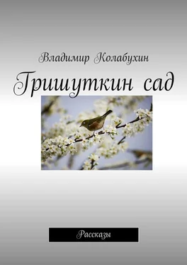 Владимир Колабухин Гришуткин сад. Рассказы обложка книги