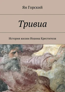 Ян Горский Тривиа. История жизни Иоанна Крестителя обложка книги