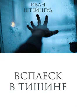 Иван Штейнгуд Всплеск в тишине обложка книги