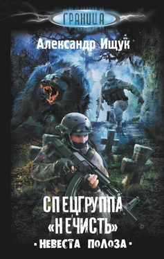 Александр Ищук Спецгруппа Нечисть. Невеста полоза обложка книги