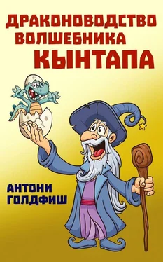 Антони Голдфиш Драконоводство волшебника Кынтапа обложка книги