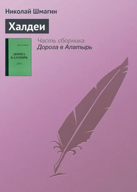 Николай Шмагин Халдеи обложка книги